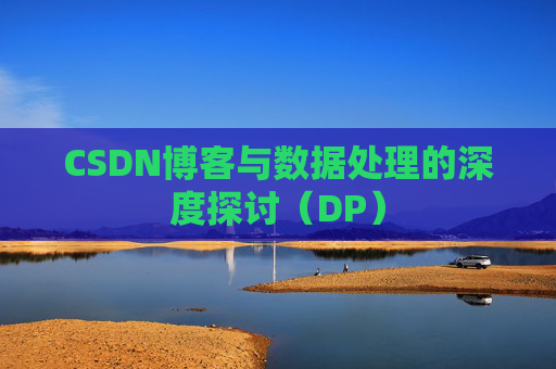 CSDN博客与数据处理的深度探讨（DP）